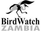 BirdWatch Zambia